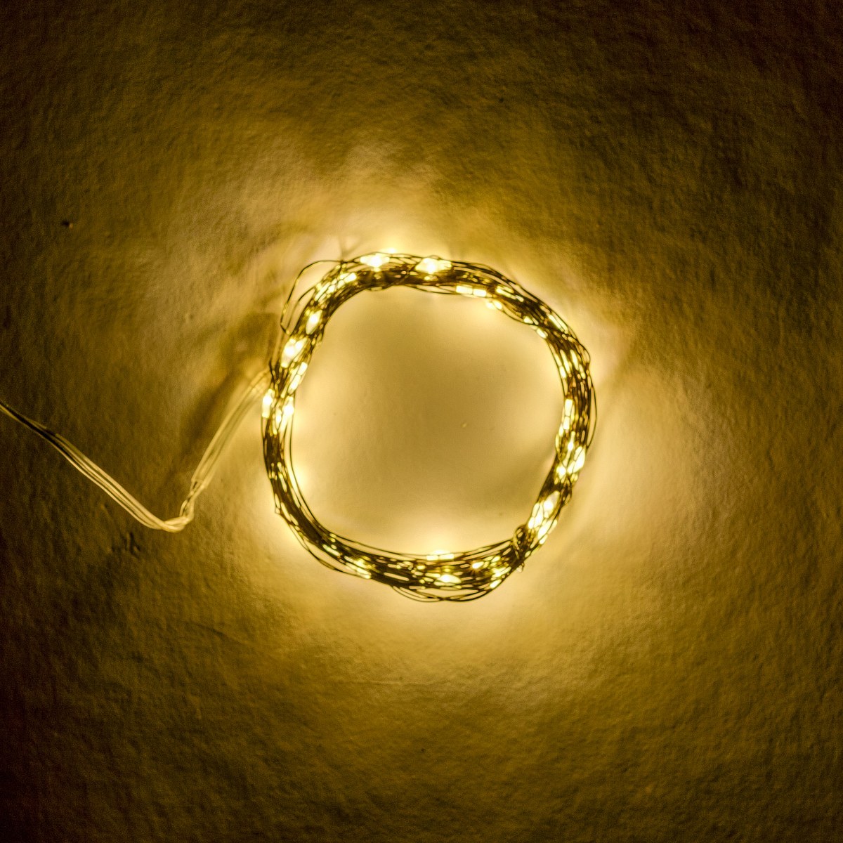 BL55W-10.jpg