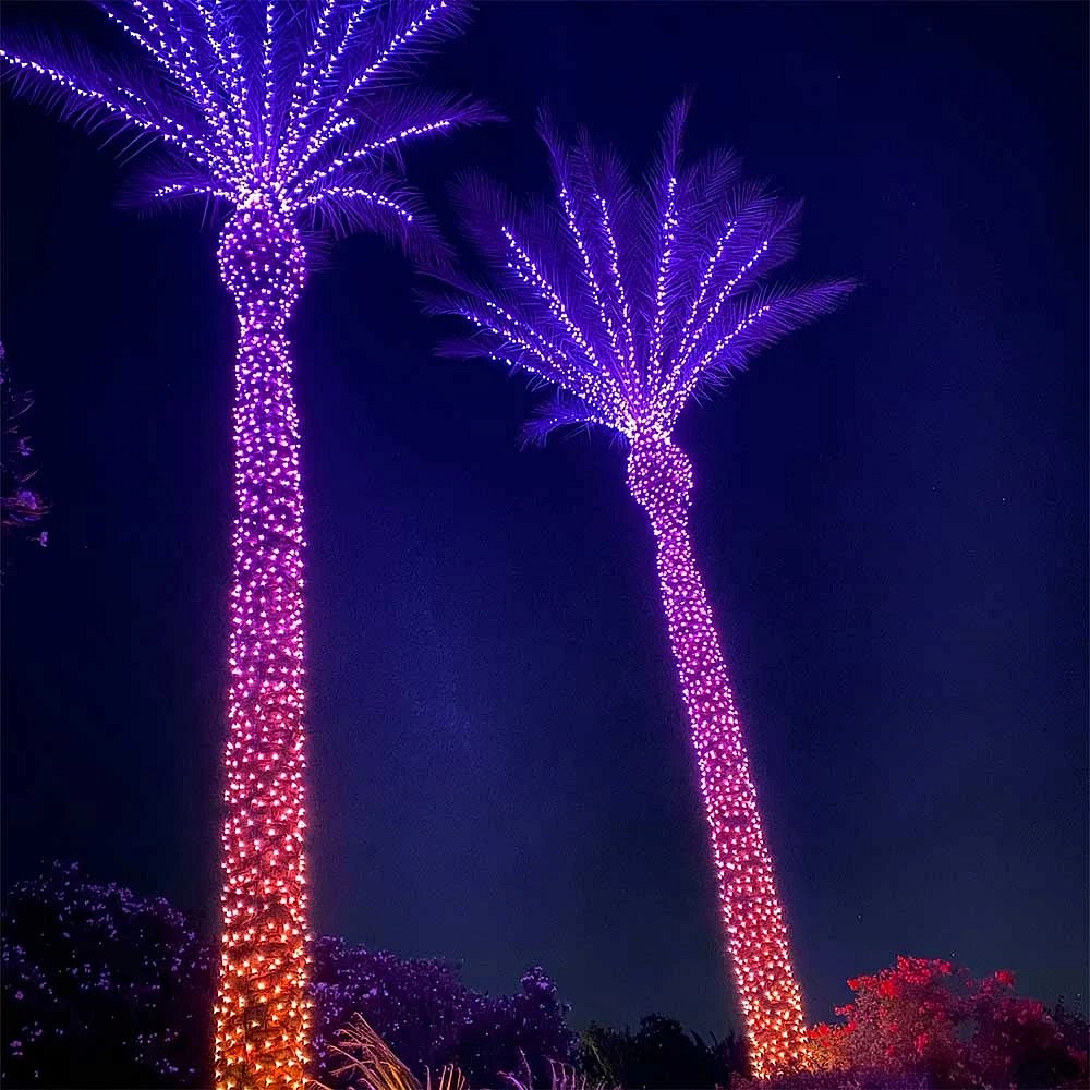 Twinkly-Plus-RGBW-LED-String-Lights-7