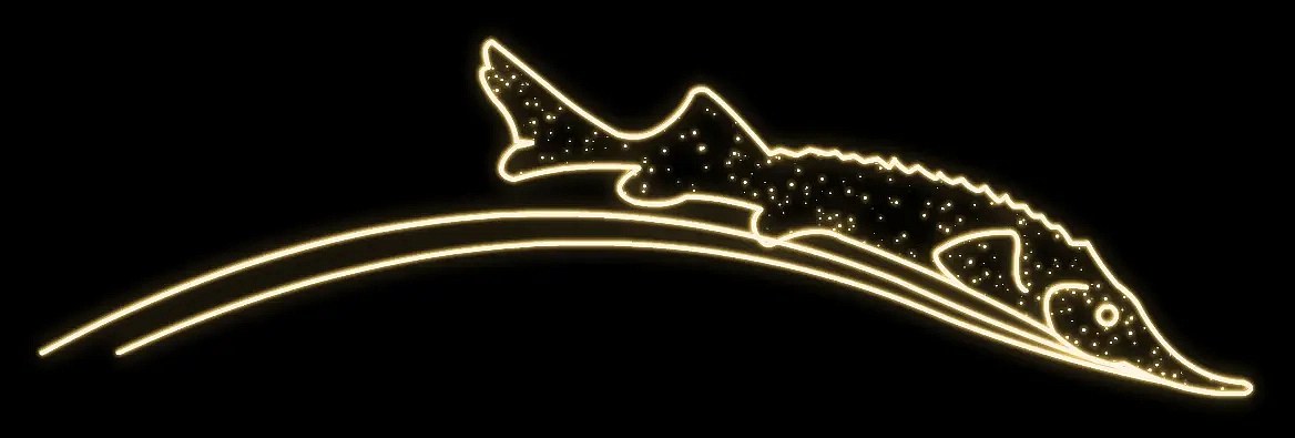 LED světelná ryba, 250 x 60 cm, teple bílá