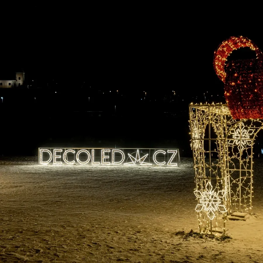 24329_DLEDN50-2.JPG