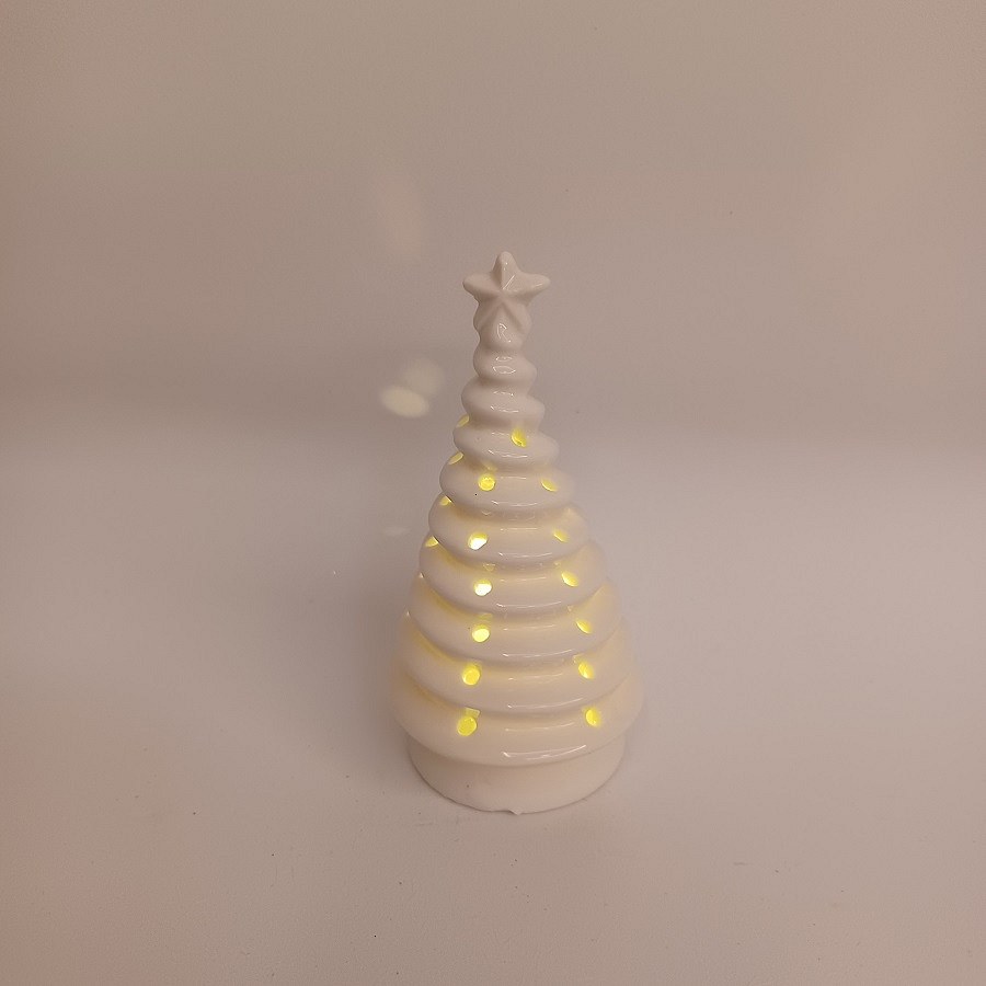 20564_K229-1-