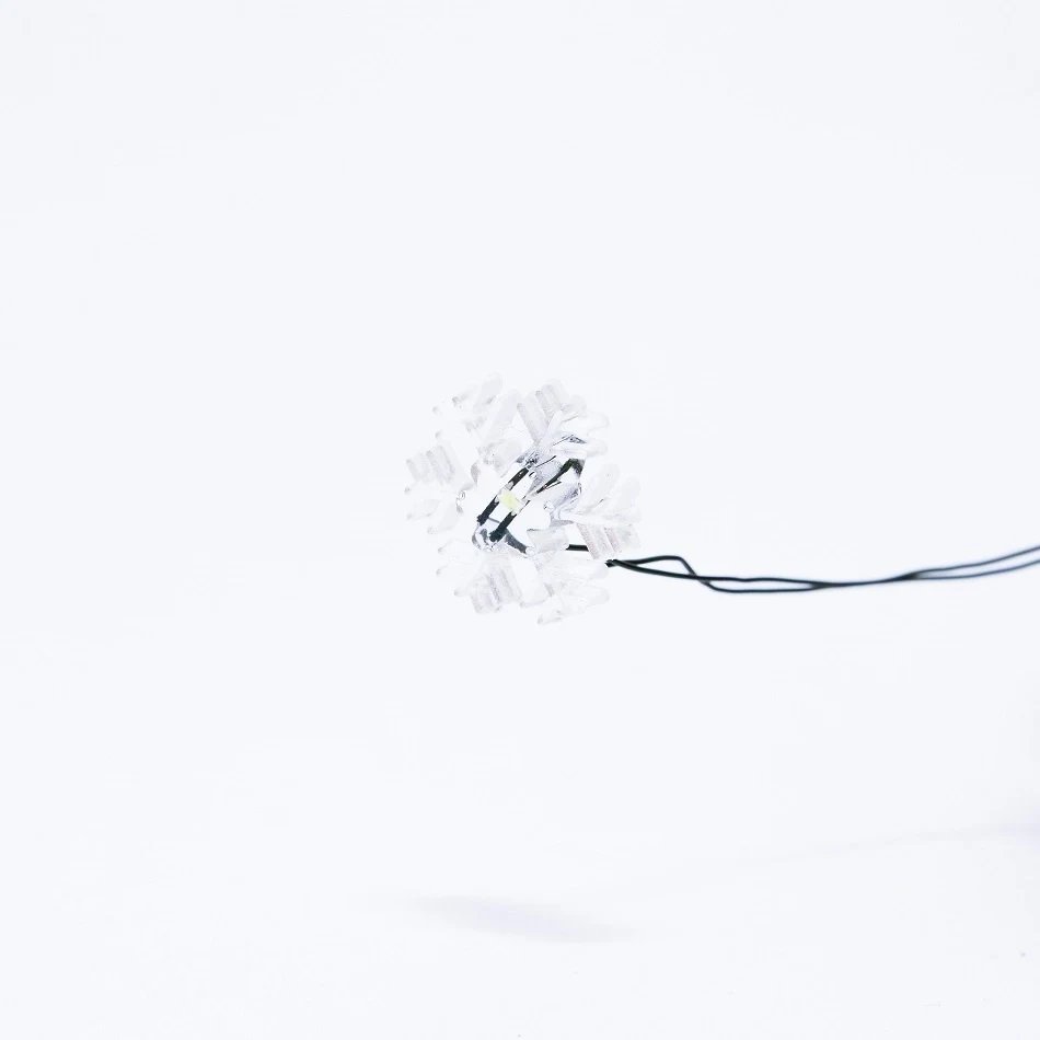 BL56_3_l