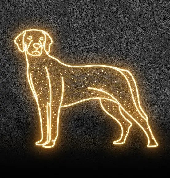Eco Fix 2D LED fénykutya, Pointer, lógó, 120 × 100 × 3 cm, meleg fehér, lógó, 3D nyomtatás, arany, 3D nyomtatás, arany színű